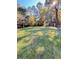 Large backyard with lush grass and mature trees at 116 E Wade St, Oxford, GA 30054
