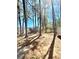 Backyard area showcasing mature trees providing natural shade with partial views of the home at 869 Meadow Rock Way, Stone Mountain, GA 30083