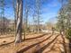Wooded backyard with mature trees at 501 Country Park Se Dr, Smyrna, GA 30080