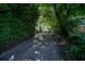 Long, tree-lined driveway leading to the house at 99 Moreland Se Ave, Atlanta, GA 30316