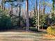 Large backyard with lush greenery and mature trees at 4817 Carlene Sw Way, Lilburn, GA 30047