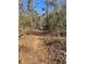 Leaf-covered trail winding through a wooded area at 4817 Carlene Sw Way, Lilburn, GA 30047