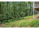 Wooded backyard with sloped terrain at 318 Liberty Ln, Canton, GA 30114