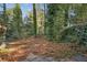 Wooded backyard with a stone patio at 610 Glenforest Rd, Sandy Springs, GA 30328