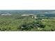 Expansive aerial view showcasing lush green trees and an overview of the surrounding area and some nearby commercial areas at 321 Evie Ln, Canton, GA 30115