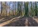 Wooded backyard providing a private and natural setting at 3578 Adkins Nw Rd, Atlanta, GA 30331