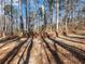 Paved driveway surrounded by tall trees at 2402 Highway 138 Sw, Conyers, GA 30094