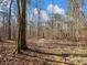 Nature trail through a wooded area with leaf-covered ground at 2402 Highway 138 Sw, Conyers, GA 30094