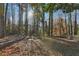 Expansive, private backyard with mature trees and sunlight at 1120 Starline Se Dr, Smyrna, GA 30080