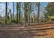 Wooded backyard with tree cover and privacy at 1120 Starline Se Dr, Smyrna, GA 30080