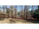 Beautiful backyard with wooded lake view at 1030 Lake Haynes Ne Dr, Conyers, GA 30012