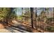 Long winding driveway through wooded area at 1030 Lake Haynes Ne Dr, Conyers, GA 30012