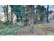 Wooded backyard with mature trees and lush greenery at 4129 Shorter Way, Decatur, GA 30034