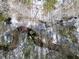 Aerial view of a creek running through the woods at 95 Brandon Dr, Covington, GA 30016