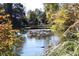 Calm pond with lily pads and ducks, a tranquil outdoor scene at 4361 Hardwood Sw Cir, Lilburn, GA 30047