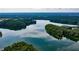 Stunning aerial view of serene lake, surrounded by lush greenery at 505 Blue Mountain Rise, Canton, GA 30114