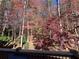 Backyard view from the deck showcasing stunning fall colors and the playhouse off in the distance at 213 Moore Valley Way, Canton, GA 30115