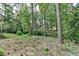 Wooded backyard offering seclusion and natural beauty at 947 Pinbrook Dr, Lawrenceville, GA 30043