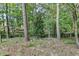 Wooded backyard providing a private, natural setting at 947 Pinbrook Dr, Lawrenceville, GA 30043