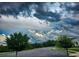 Scenic street view showcasing the community's well-maintained street and landscaping at 4941 Adler Ct, Hoschton, GA 30548