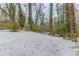 Snowy backyard with trees and some greenery at 3426 Glensford Dr, Decatur, GA 30032