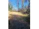 Large backyard with mature trees and open space at 1336 Diamond Se Ave, Atlanta, GA 30316