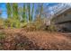 Large backyard, wooded and private at 4424 Malibu Dr, Decatur, GA 30035