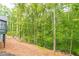 Wooded area behind the house with a wooden fence at 9635 Haverhill Ln, Johns Creek, GA 30022