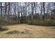 Large backyard with mature trees and grassy area at 4225 Parkridge Dr, Powder Springs, GA 30127