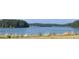 Scenic lake view with lush greenery and calm waters at 4220 Easter Lily Ave (Lot3), Buford, GA 30519