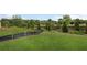 Lush green lawn and trees in a large backyard at 1646 Tide Mill Rd, Cumming, GA 30040