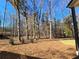 A beautiful treed backyard with a freshly-mown grassy area next to the house at 135 Cedarwood Ln, Roswell, GA 30075