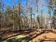 Wooded backyard with natural landscaping at 135 Cedarwood Ln, Roswell, GA 30075