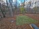 Spacious backyard with new sod and wooded area at 135 Cedarwood Ln, Roswell, GA 30075