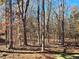 Enjoy the peace and quiet of this beautiful treed backyard at 135 Cedarwood Ln, Roswell, GA 30075