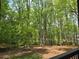 View of wooded backyard with tall trees seen from the home's balcony or deck at 135 Cedarwood Ln, Roswell, GA 30075