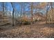 Wooded area behind the property with leaf covered ground at 121 Harmony Oaks Trl, Canton, GA 30115