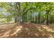 Spacious backyard with trees, a swing, and a fenced area at 675 Jack Page Ln, Canton, GA 30115