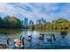Peaceful lake scene with geese and a city skyline in the background at 4266 Sw Notting Hill Dr # 28, Atlanta, GA 30331