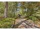 Long driveway leading to home through a tree-lined landscape at 4750 Rebel Trl, Atlanta, GA 30327