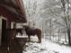 Horses grazing near a barn during winter time in a beautiful snowy forest at 75 Rivercreek Xing, Kingston, GA 30145