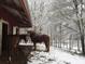 Two horses stand in the snow outside the barn at 75 Rivercreek Xing, Kingston, GA 30145