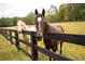 Two horses stand at the black fence in a green pasture at 75 Rivercreek Xing, Kingston, GA 30145