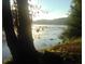 Scenic view of the river with mature trees and foliage on a sunny day at 75 Rivercreek Xing, Kingston, GA 30145