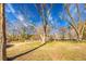 A view of the backyard and its mature trees at 12524 Highway 36, Covington, GA 30014