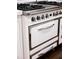 Gas range with stainless steel details at 923 Little Darby Ln, Suwanee, GA 30024