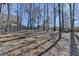 Wooded backyard with tall trees and ground cover at 2714 Legislative Ln, Buford, GA 30519