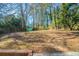 Large backyard with mature trees and privacy at 2725 Rainbow Forest Dr, Decatur, GA 30034