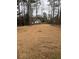 Spacious backyard featuring a large grassy area and mature trees, perfect for outdoor activities at 143 Tracy Ln, Mcdonough, GA 30253