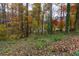 View of wooded area with fall leaves and pond at 3799 Halisport Nw Ln, Kennesaw, GA 30152